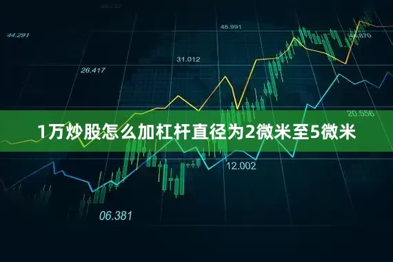 1万炒股怎么加杠杆直径为2微米至5微米